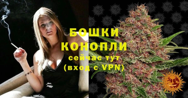 дживик Магас