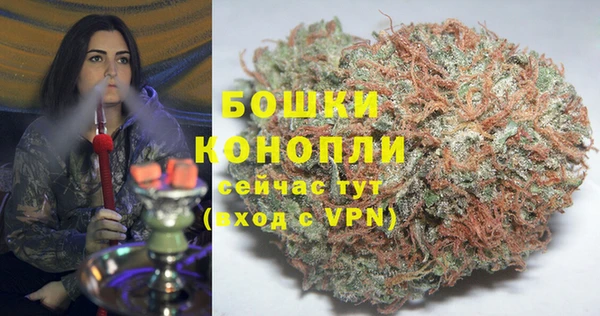 дживик Магас