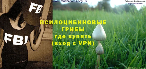 дмт Лихославль