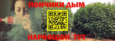 mdpv Краснознаменск