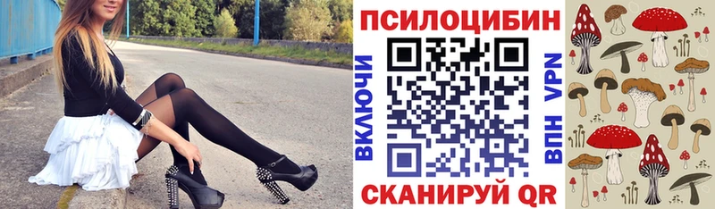 Псилоцибиновые грибы Cubensis  Сунжа 