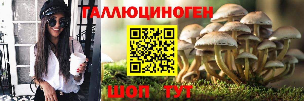 Псилоцибиновые грибы мицелий  Вход с VPN  Сунжа 