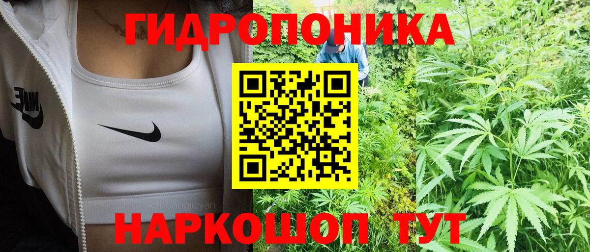 Канабис индика  Конопля ГИДРОПОН  Бошки Шишки тримм  Сунжа  Вход с VPN  Бошки марихуана гибрид 